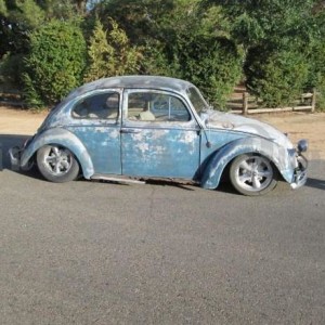 66 blue bug 1