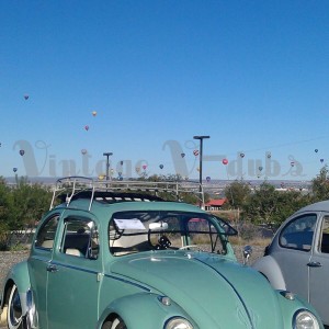 IMAG0635